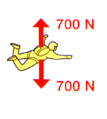 terminal velocity