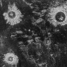 Meteorite impact craters on Venus